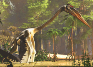 An illustration of Quetzalcoatlus, a large pterosaur in a jungle.
