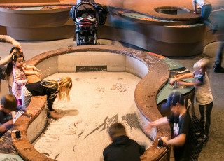 The Land Gallery at NHMU.